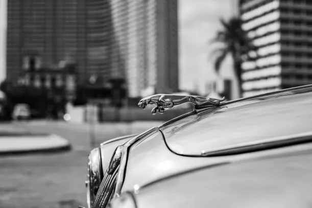 20Μπετς Καζίνο Εφαρμογή Android/iOS